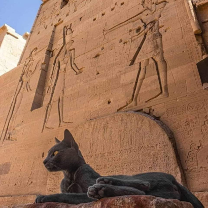 Templo de Horus en Edfú