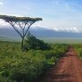 Zona de conservación de Ngorongoro