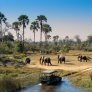 Delta del Okavango - Botswana